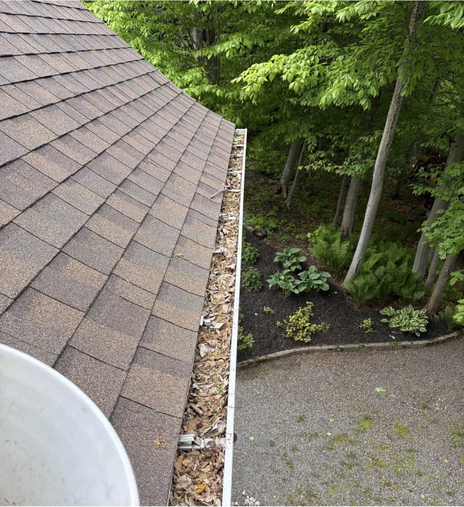 Gouttière obstruée par des feuilles et débris, avant nettoyage EXNET